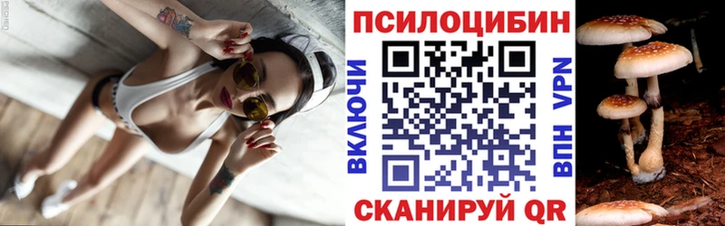 цены наркотик  Москва  Псилоцибиновые грибы мицелий 